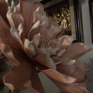 Meet your Posher, Norma